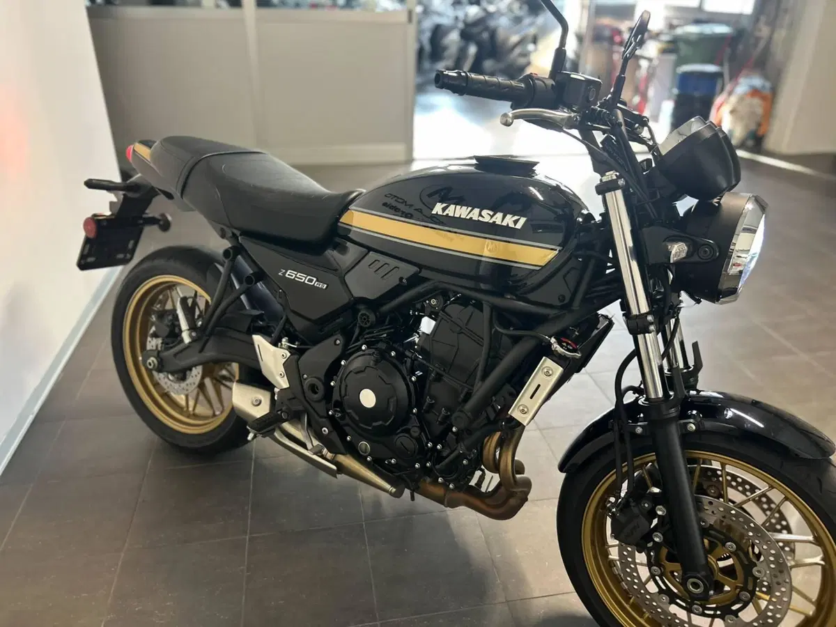 Kawasaki Z 650 RS (2025 - 26) (8)
