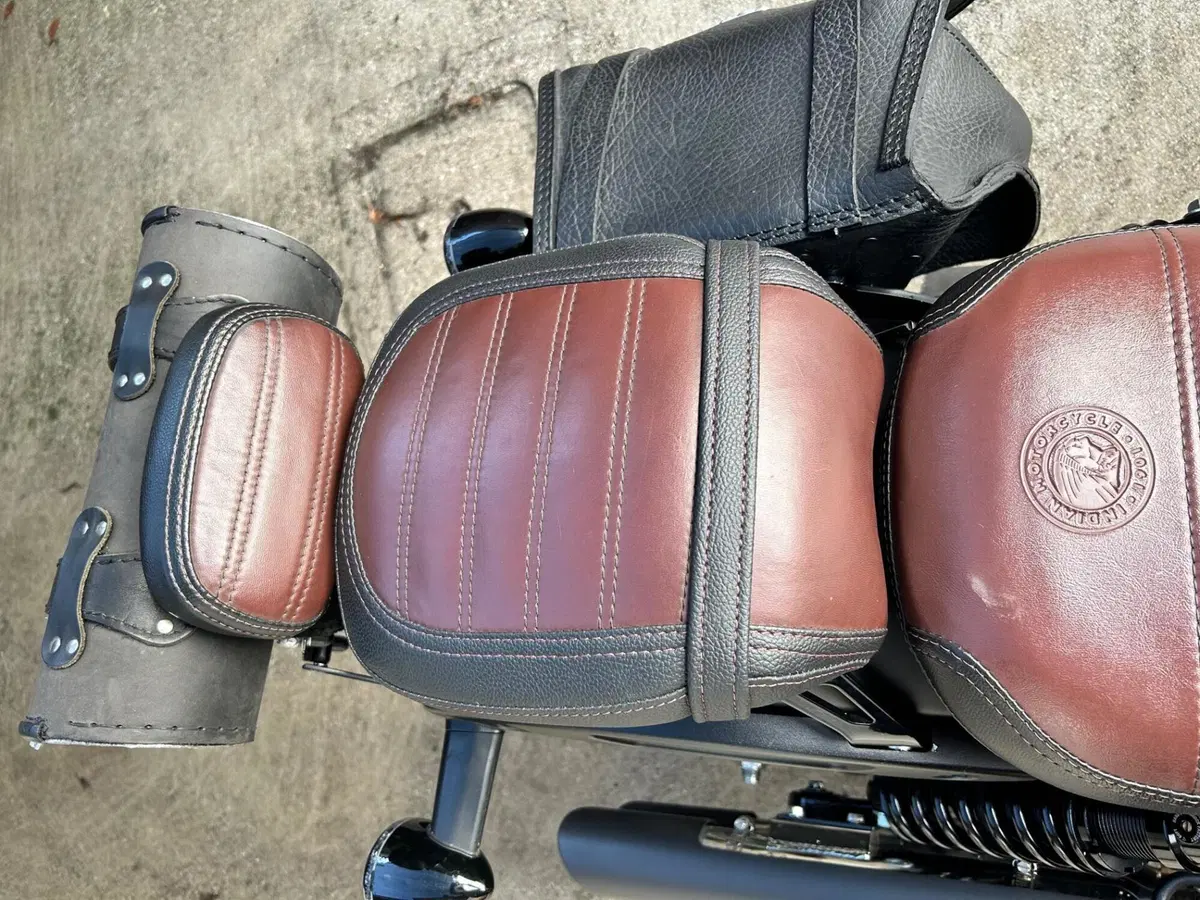 Indian Scout 1133 (2021 - 25) (3)