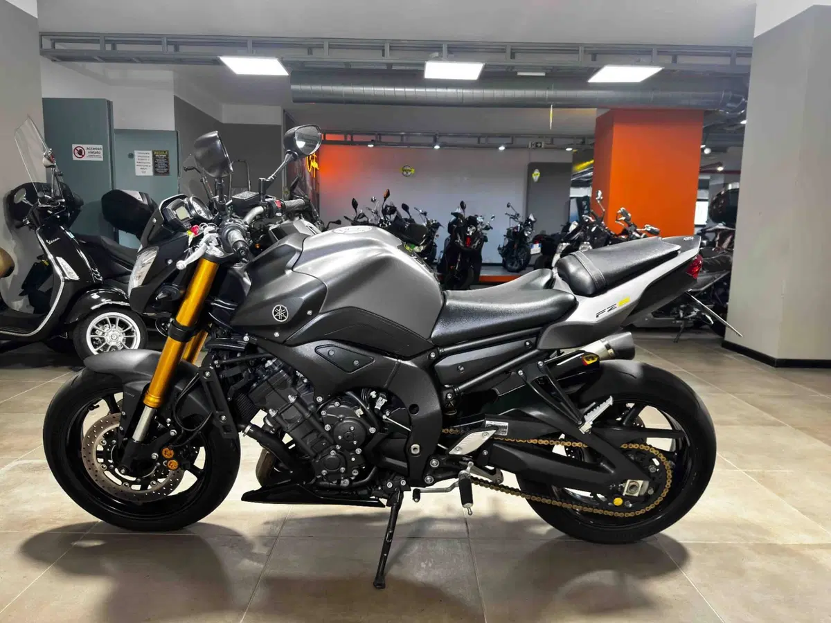 Yamaha FZ8 (2013 - 16) (4)