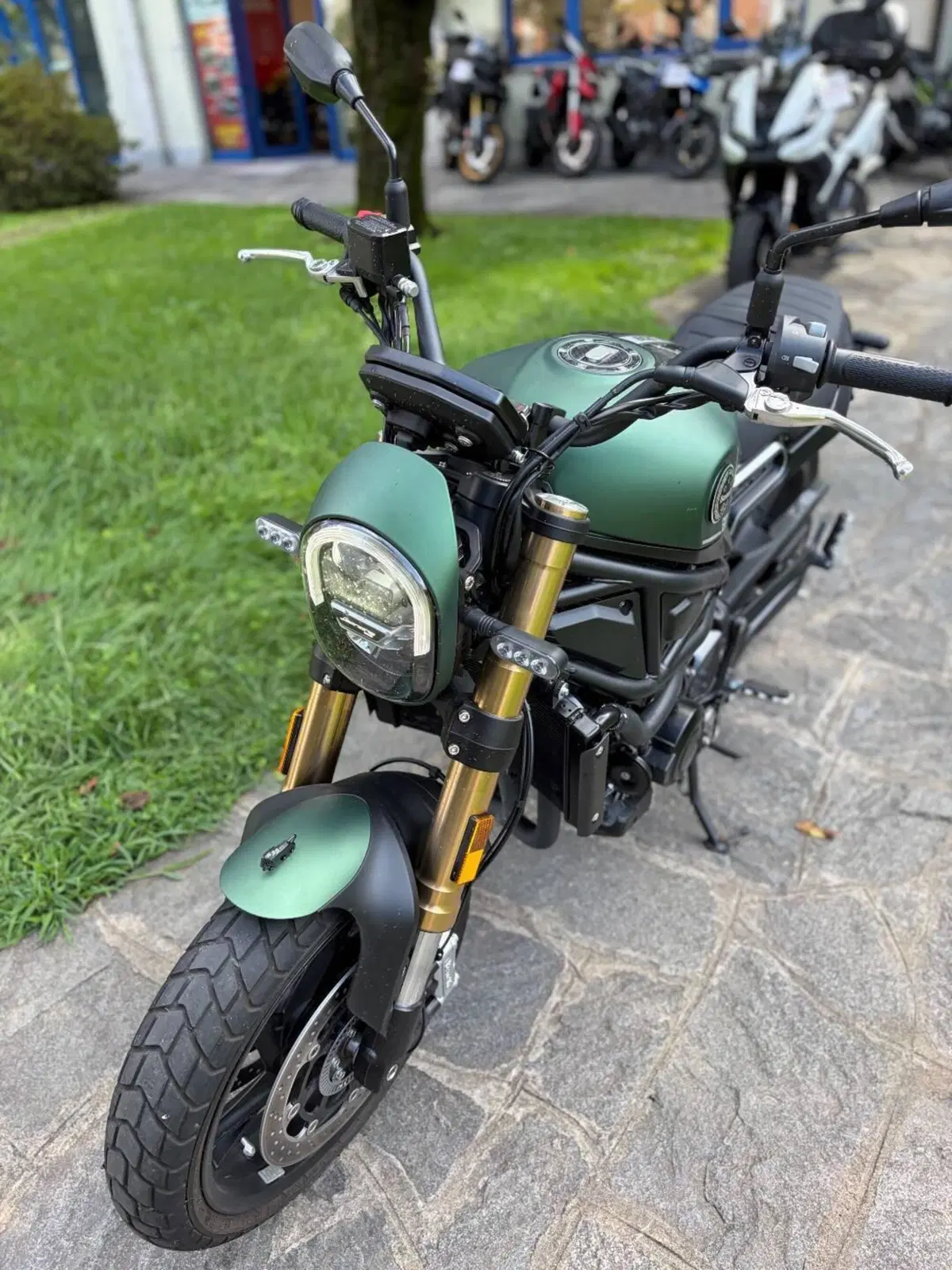 Benelli Leoncino 800 (2022 - 26) (3)