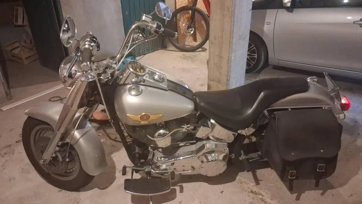 Harley-Davidson 1550 Fat Boy 15th Anniversary (2005) - FLSTFIAE (2)