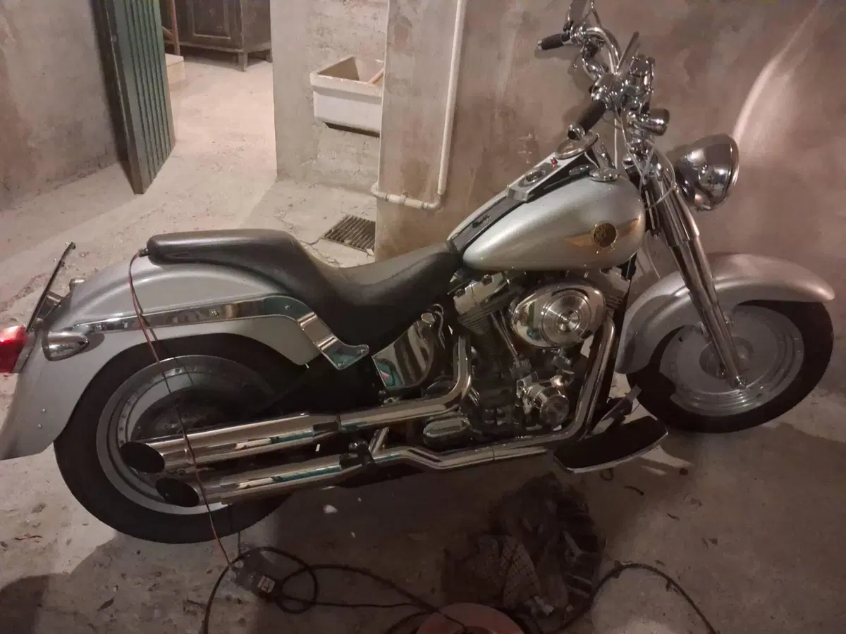 Harley-Davidson 1550 Fat Boy 15th Anniversary (2005) - FLSTFIAE (6)