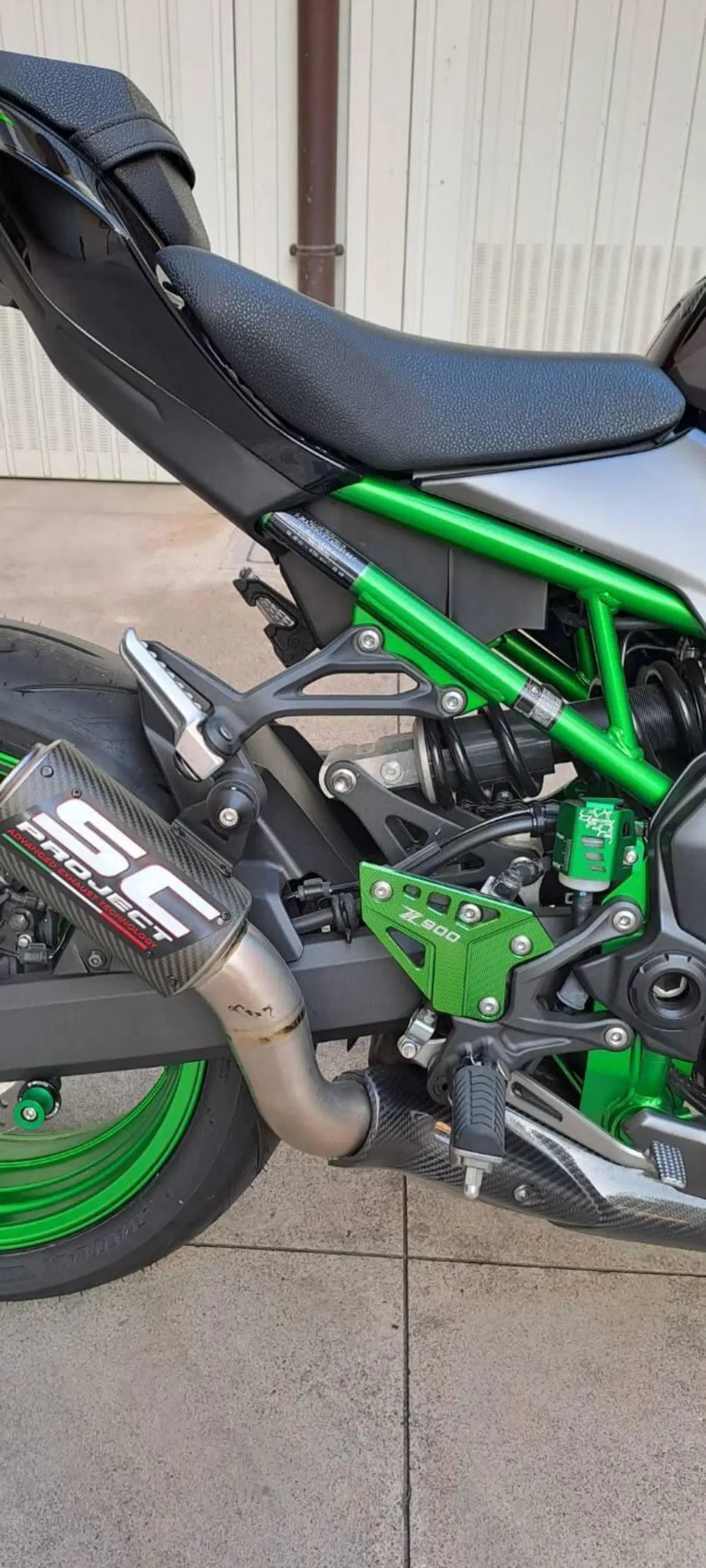 Kawasaki Z 900 (2021 - 24) (9)
