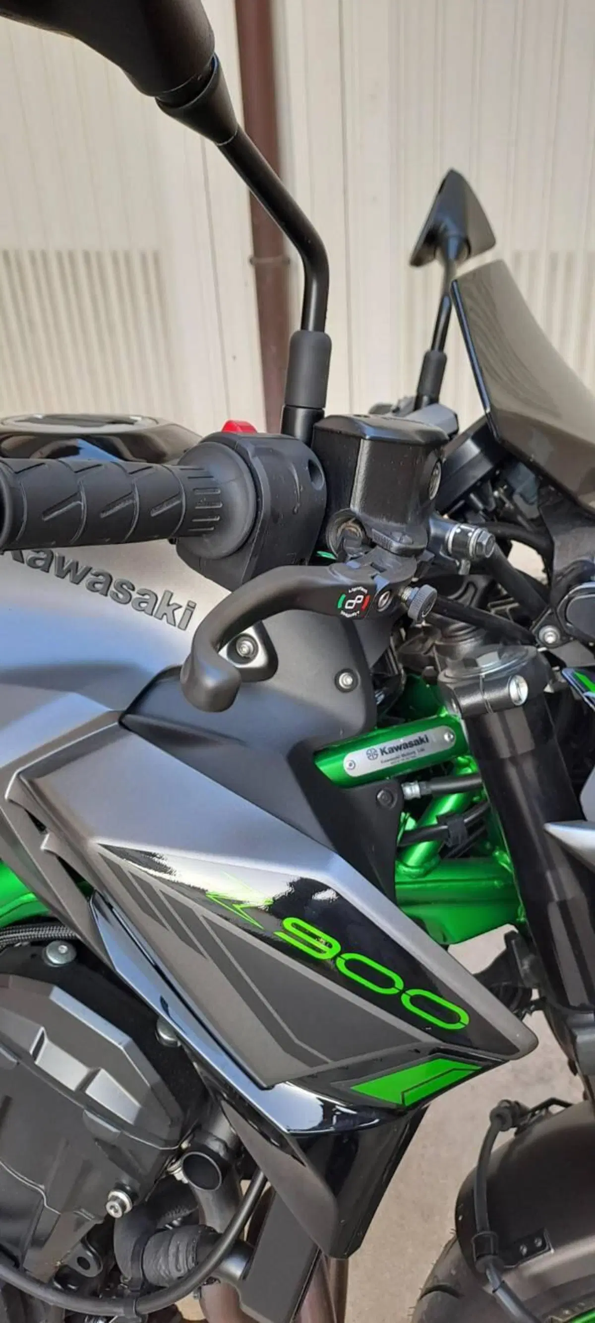 Kawasaki Z 900 (2021 - 24) (13)