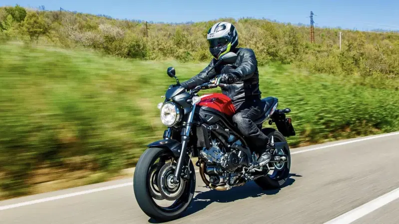 Suzuki SV 650: highlander