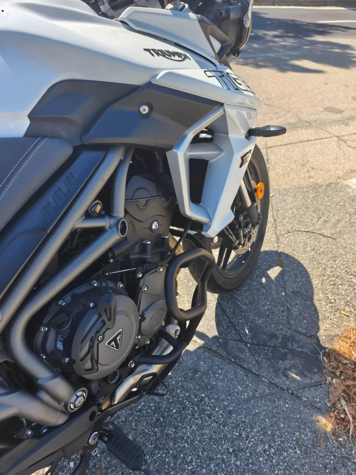 Triumph Tiger 800 XRx (2018 - 20) (5)