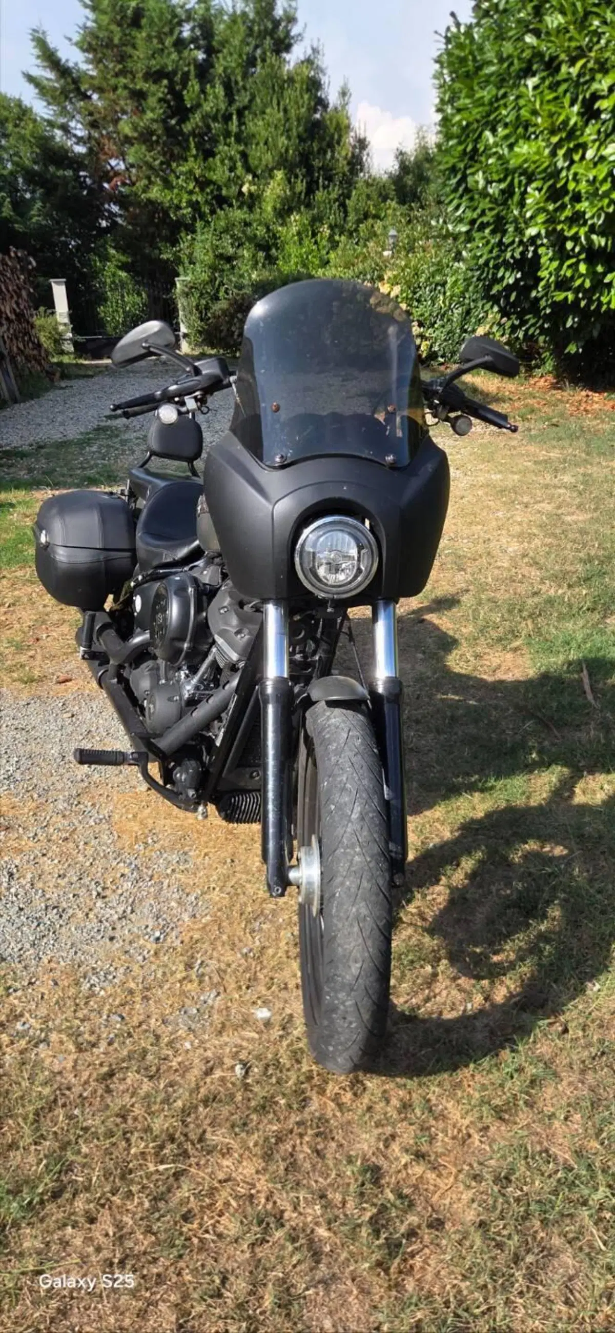 Harley-Davidson 107 Street Bob (2018 - 20) - FXBB (4)