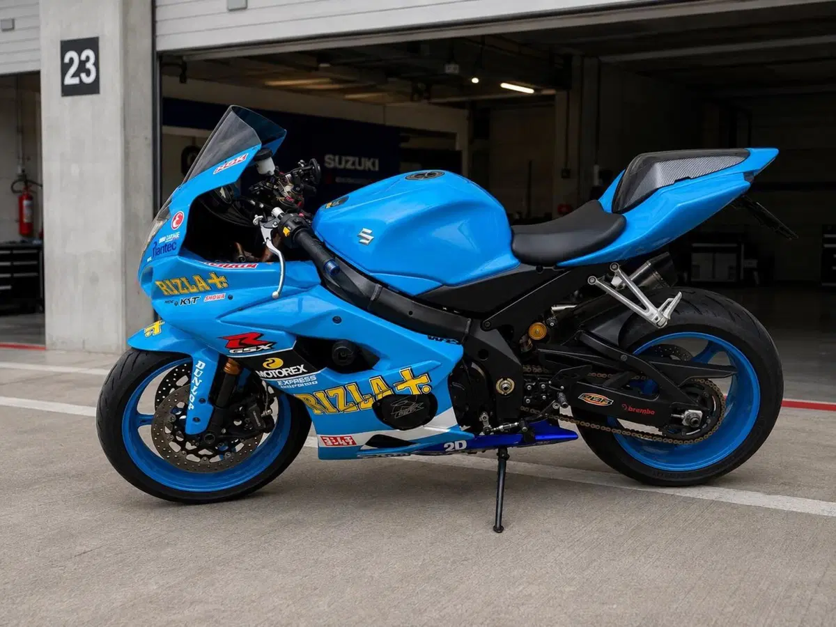 Suzuki GSX-R1000 (2005 - 06) (8)