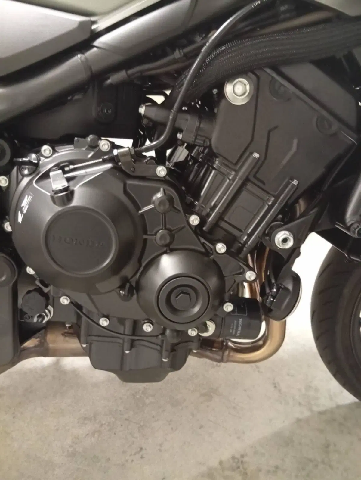 Honda CB 1000 Hornet (2025 - 26) (14)