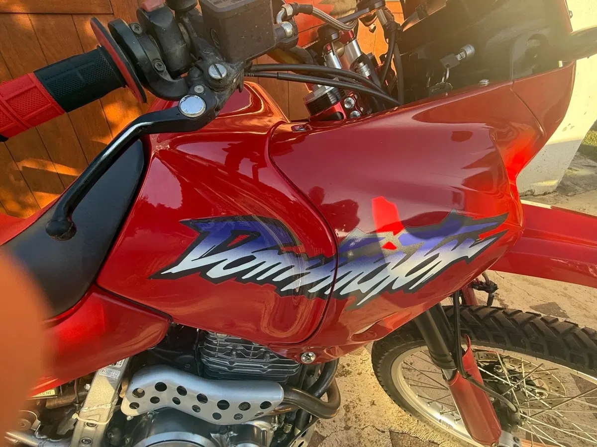 Honda NX 650 Dominator (1996 - 02) (2)