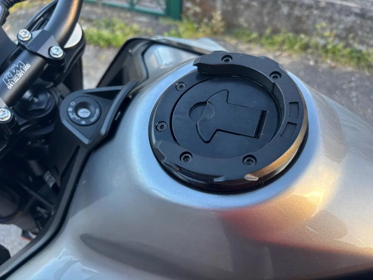 KTM 790 Duke (2018 - 20) (13)