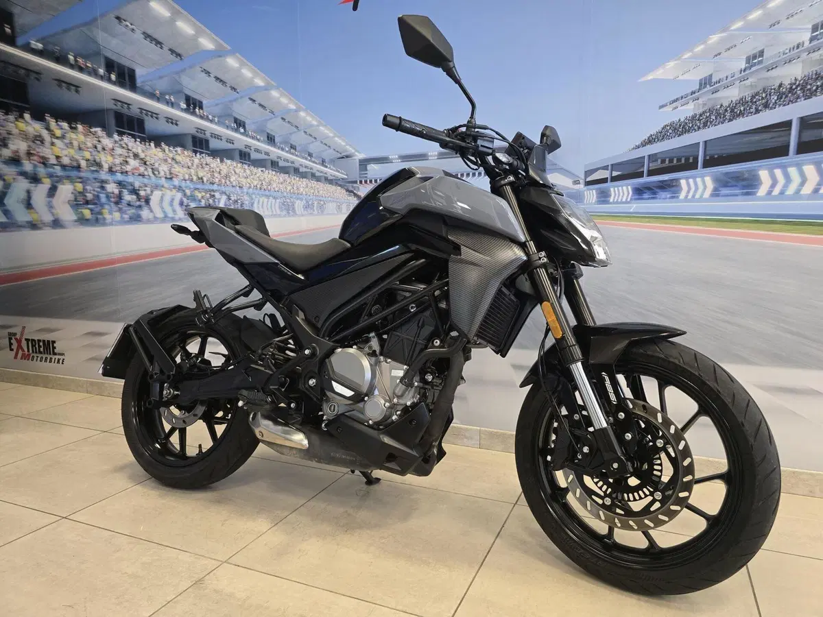 CFMOTO 300NK (2021 - 26) (2)