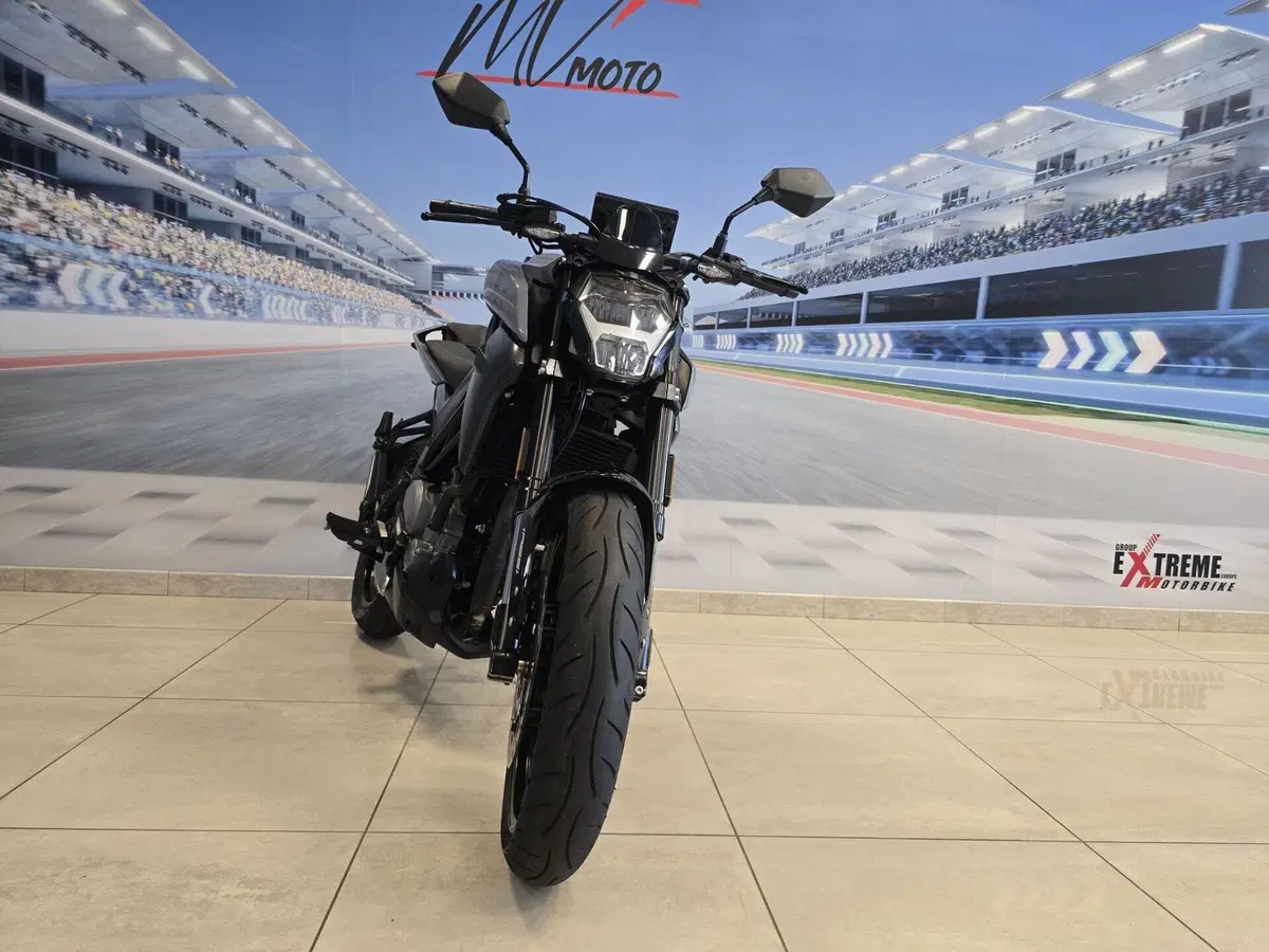 CFMOTO 300NK (2021 - 26) (3)