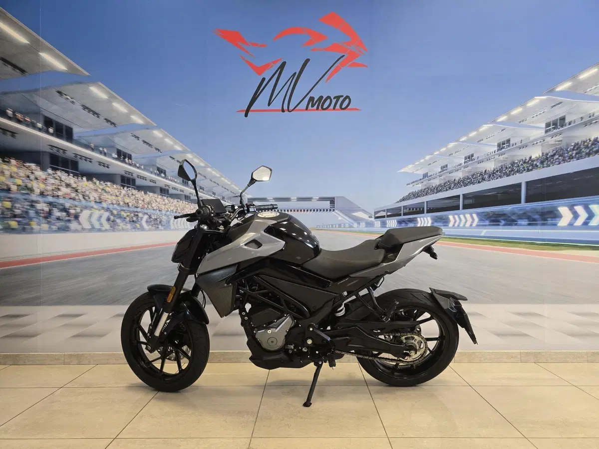 CFMOTO 300NK (2021 - 26) (4)
