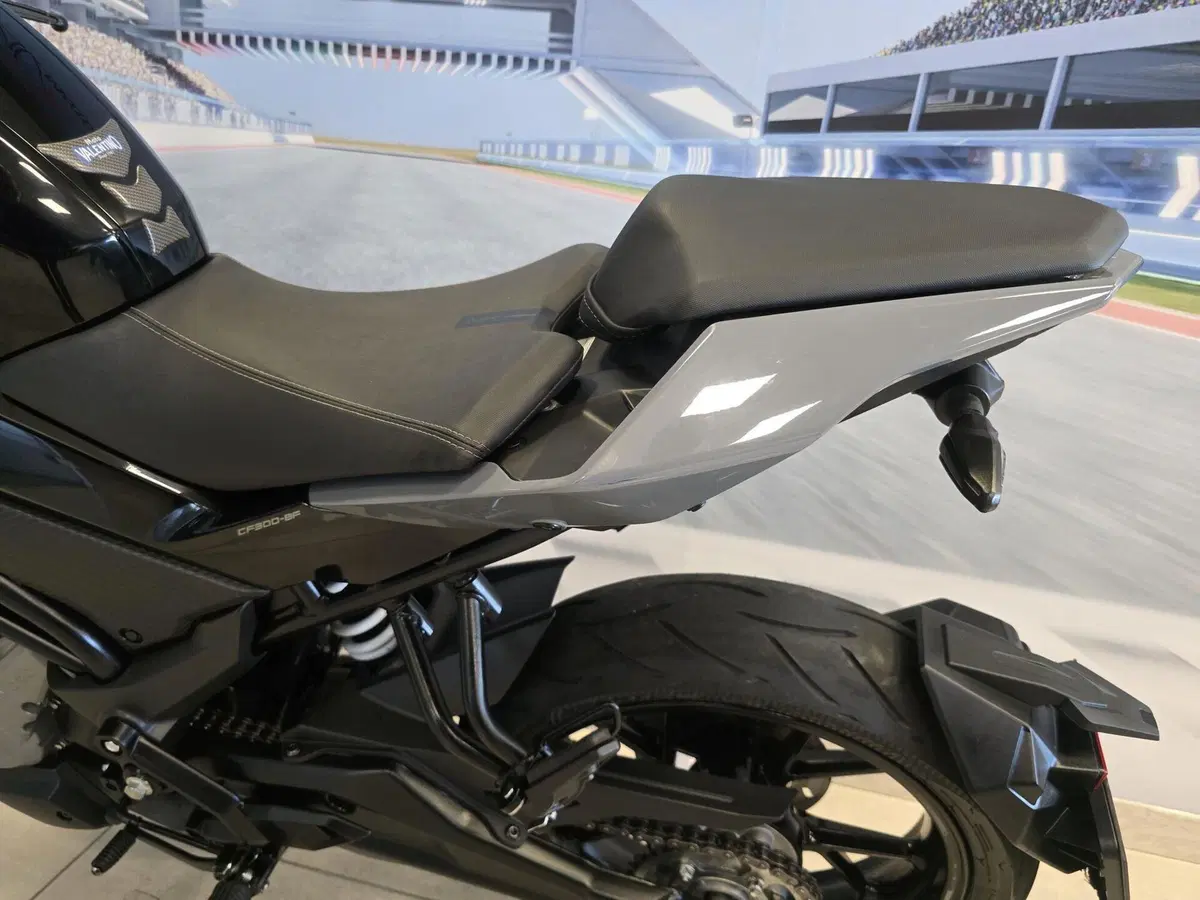 CFMOTO 300NK (2021 - 26) (6)