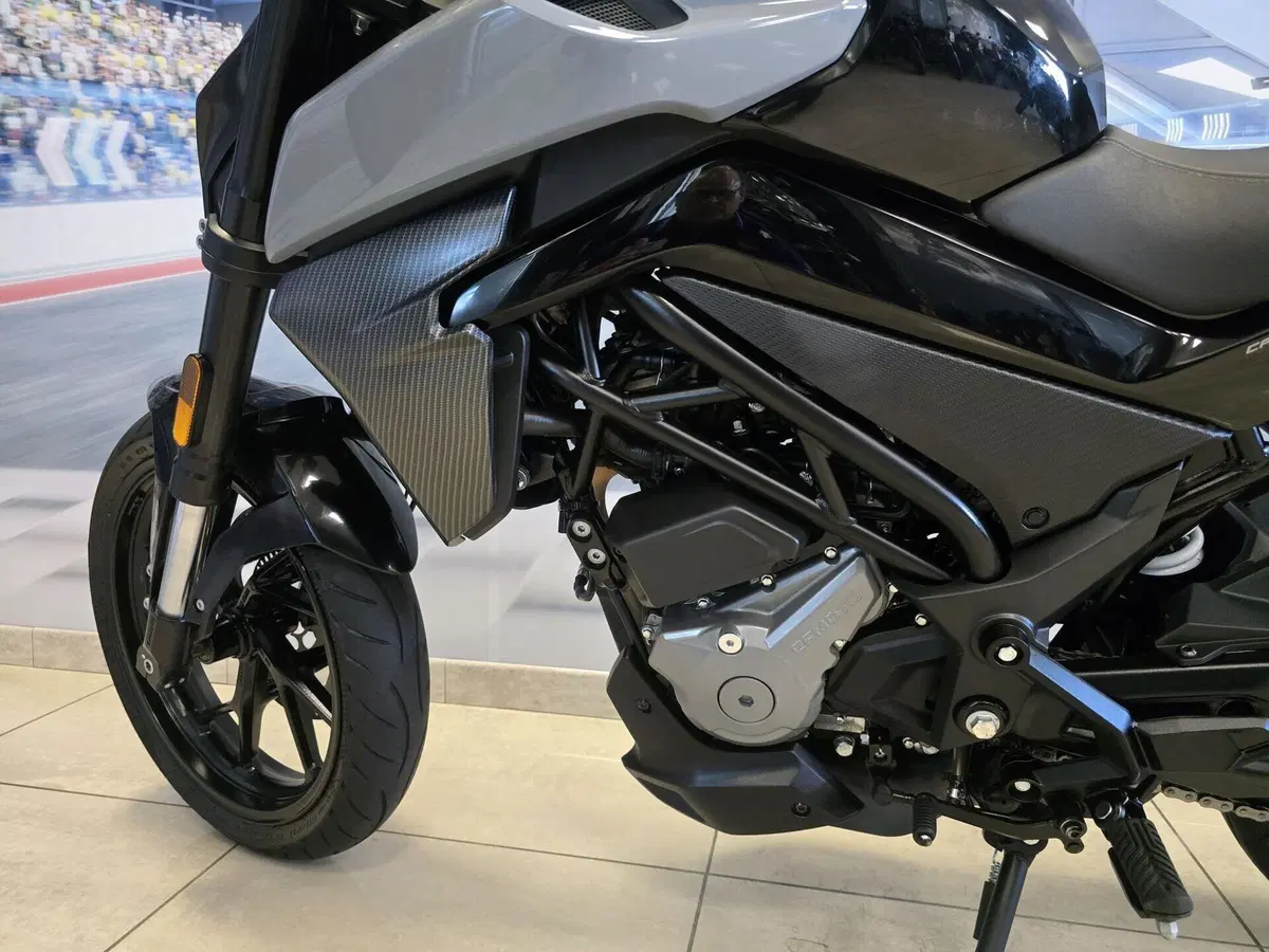 CFMOTO 300NK (2021 - 26) (9)