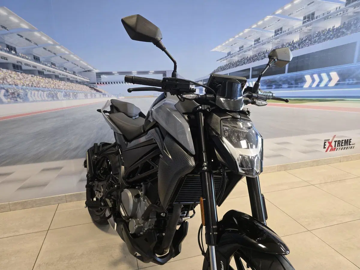 CFMOTO 300NK (2021 - 26) (12)