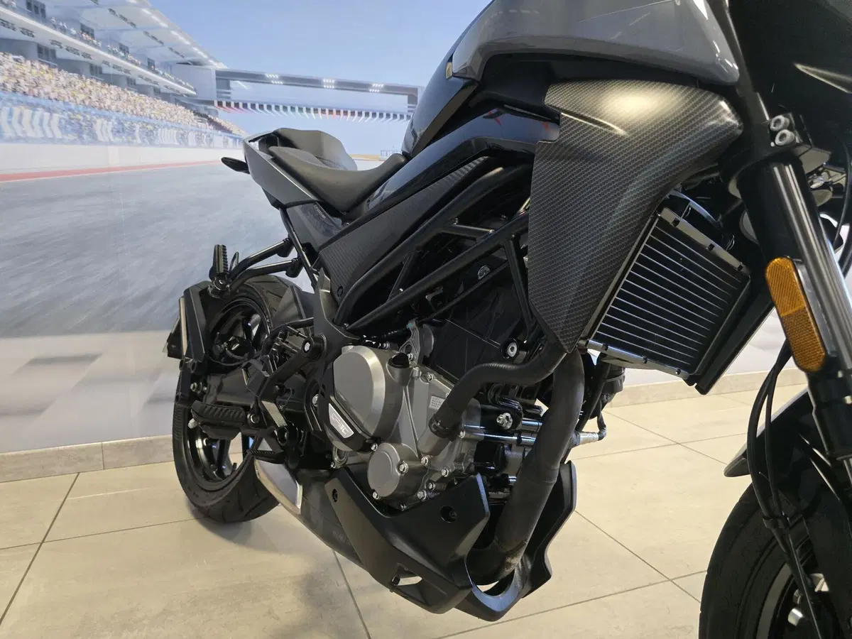 CFMOTO 300NK (2021 - 26) (14)
