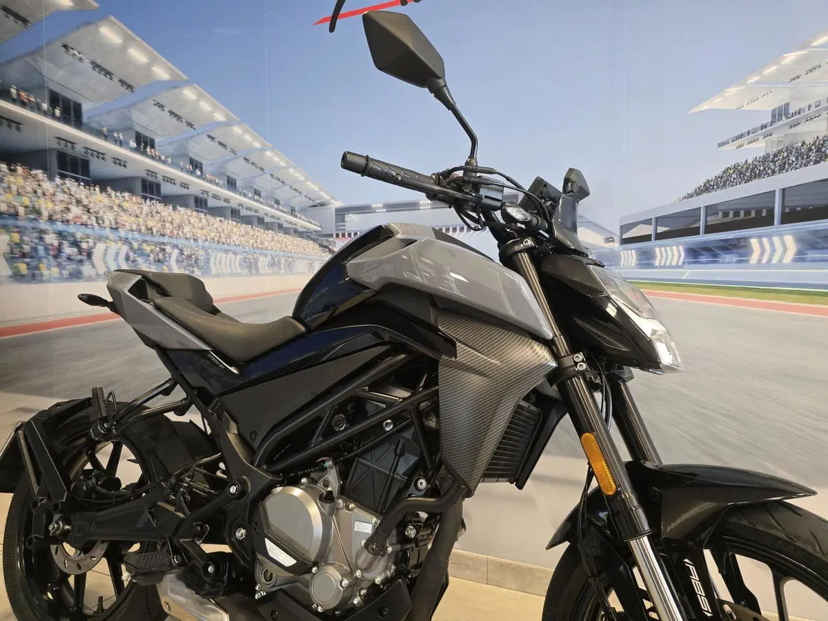 CFMOTO 300NK (2021 - 26) (15)