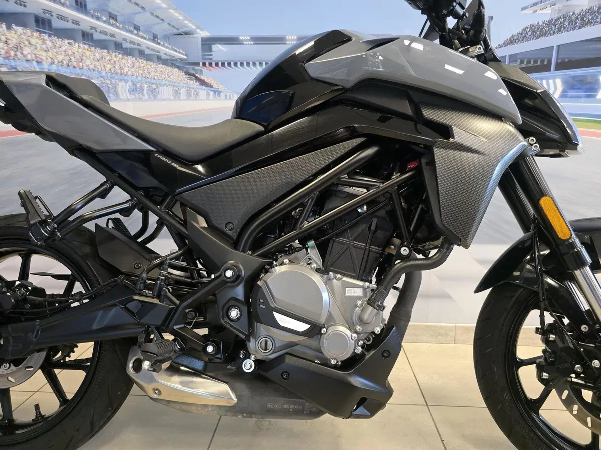 CFMOTO 300NK (2021 - 26) (16)