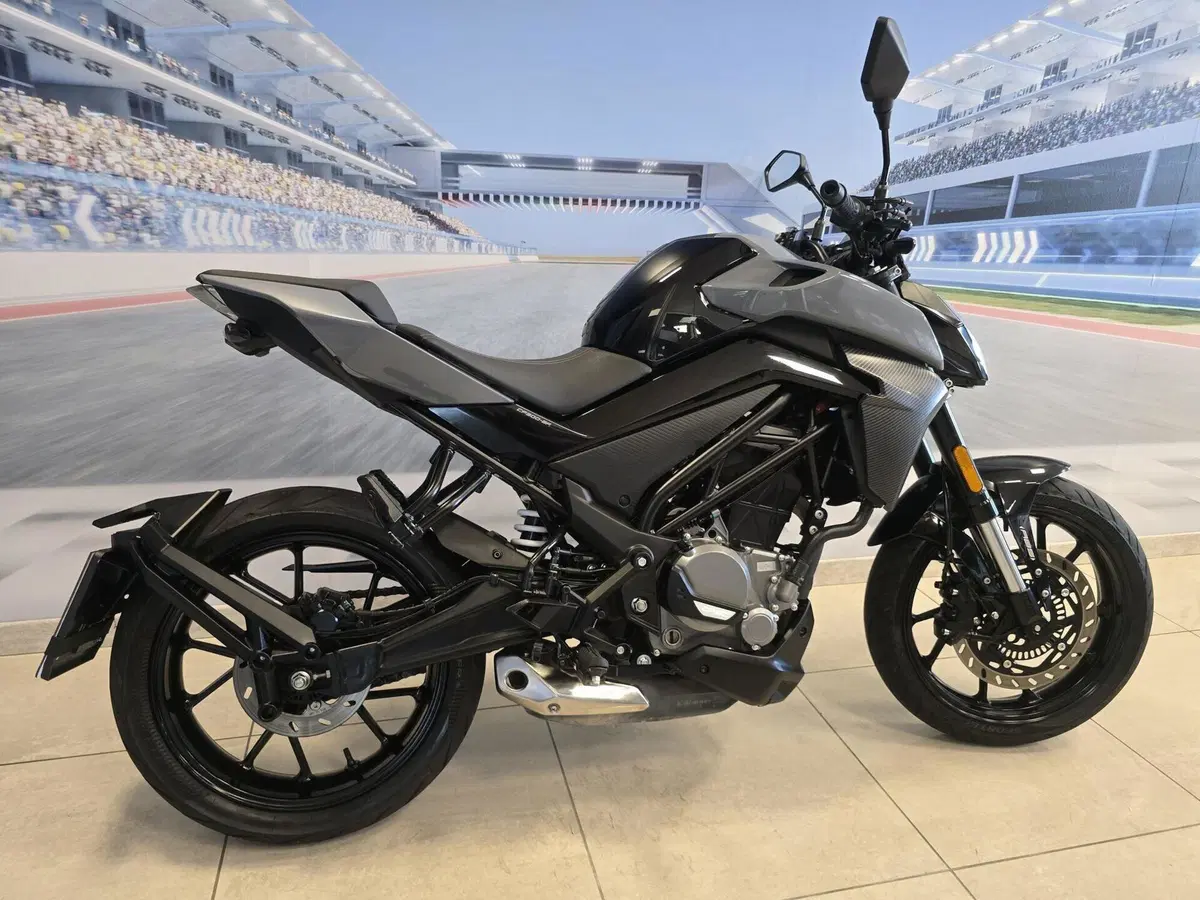 CFMOTO 300NK (2021 - 26) (17)