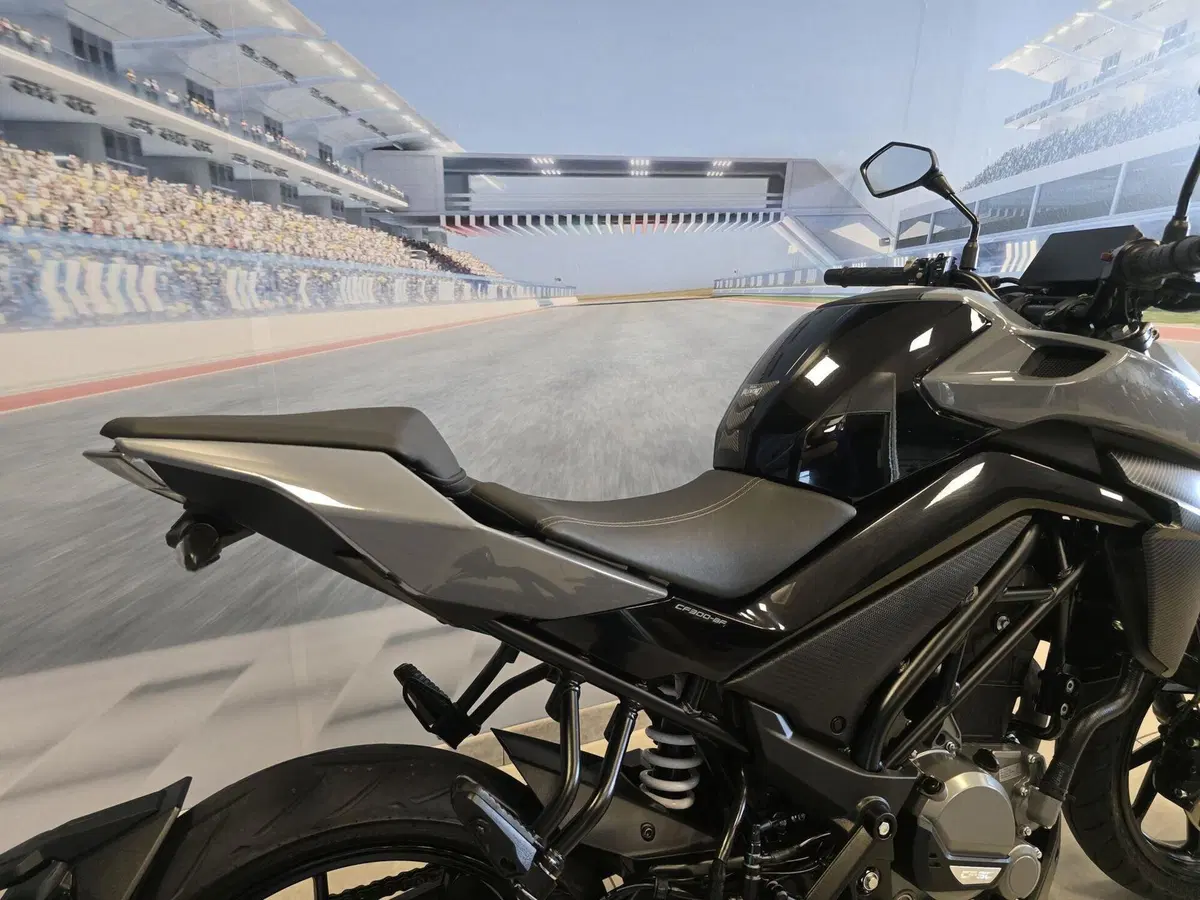 CFMOTO 300NK (2021 - 26) (18)