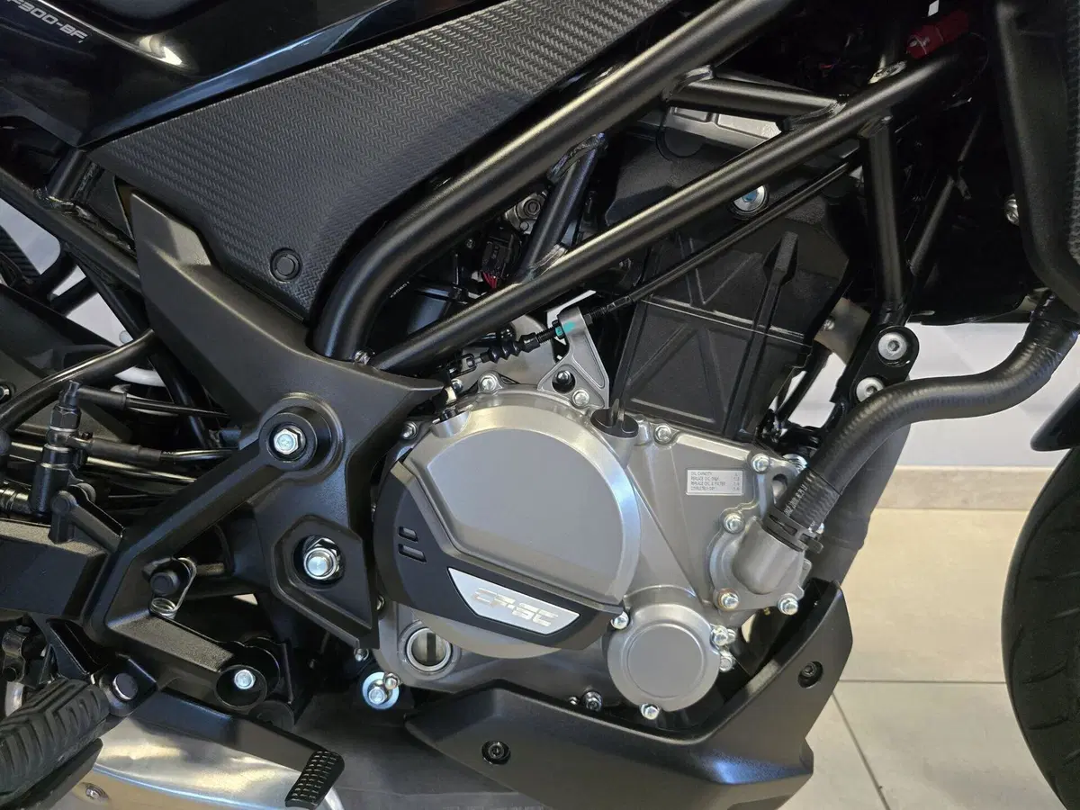 CFMOTO 300NK (2021 - 26) (19)