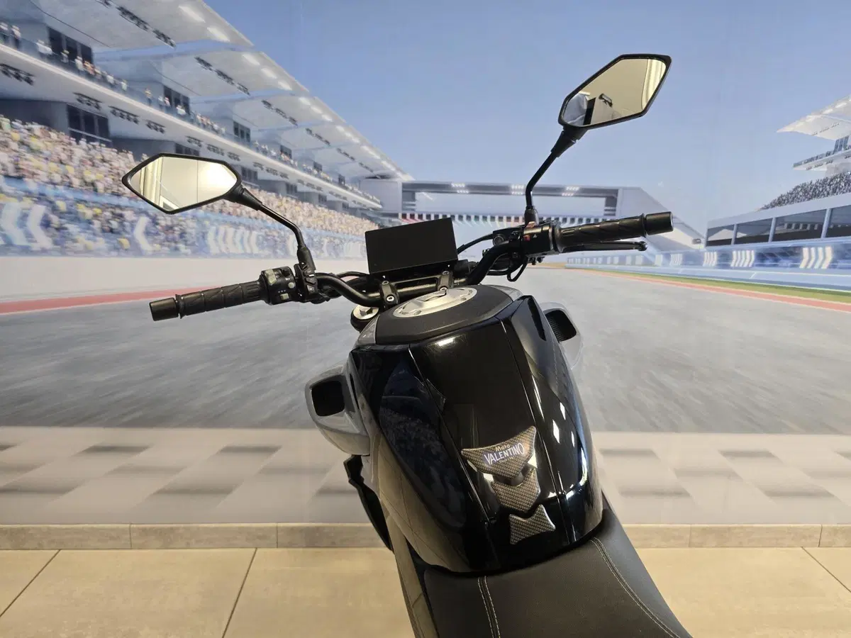 CFMOTO 300NK (2021 - 26) (20)