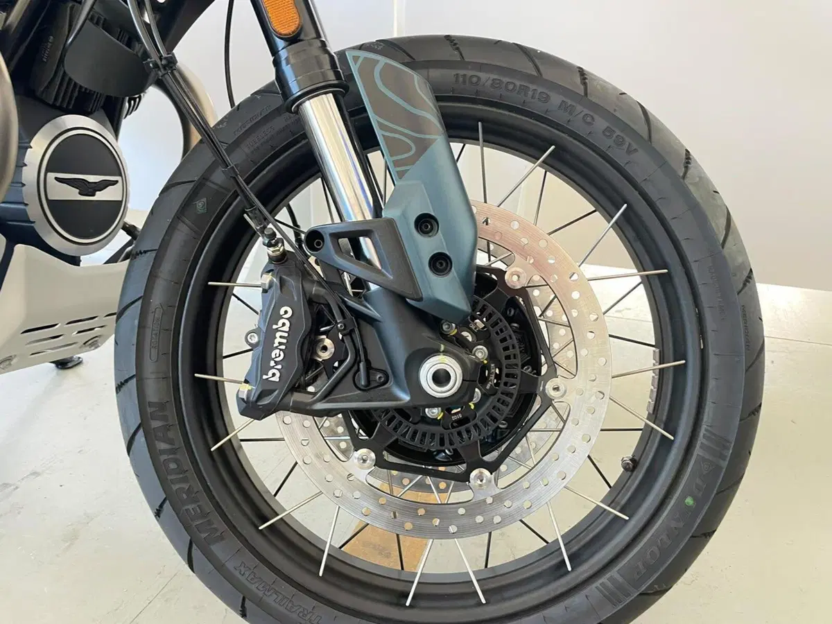 Moto Guzzi V85 TT Travel (2024 - 26) (6)