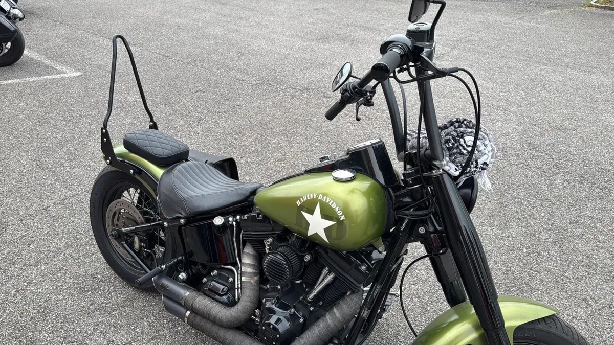 Harley-Davidson 1690 Slim (2011 - 16) - FLS