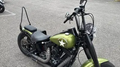 Harley-Davidson 1690 Slim (2011 - 16) - FLS usata