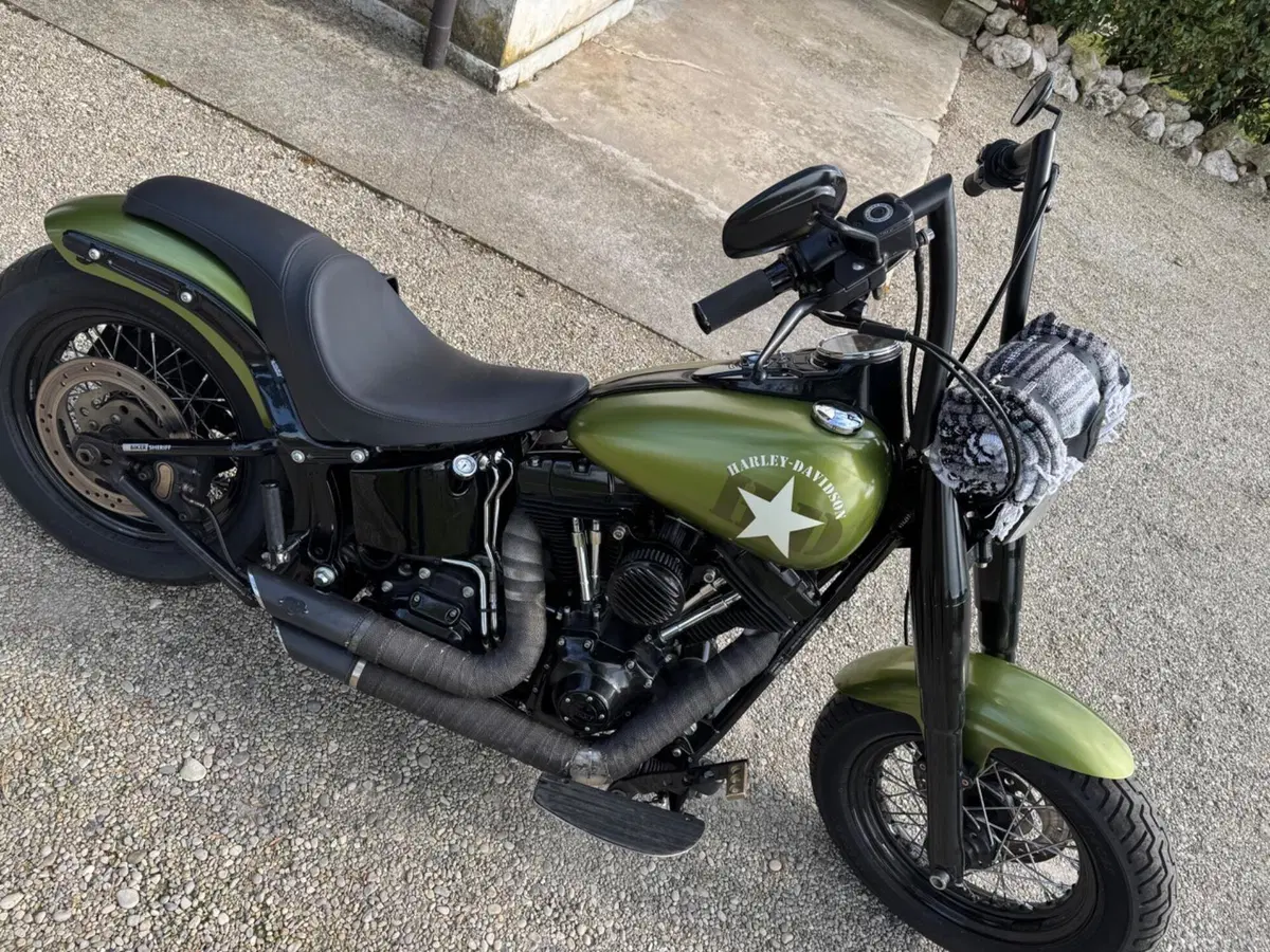 Harley-Davidson 1690 Slim (2011 - 16) - FLS (2)