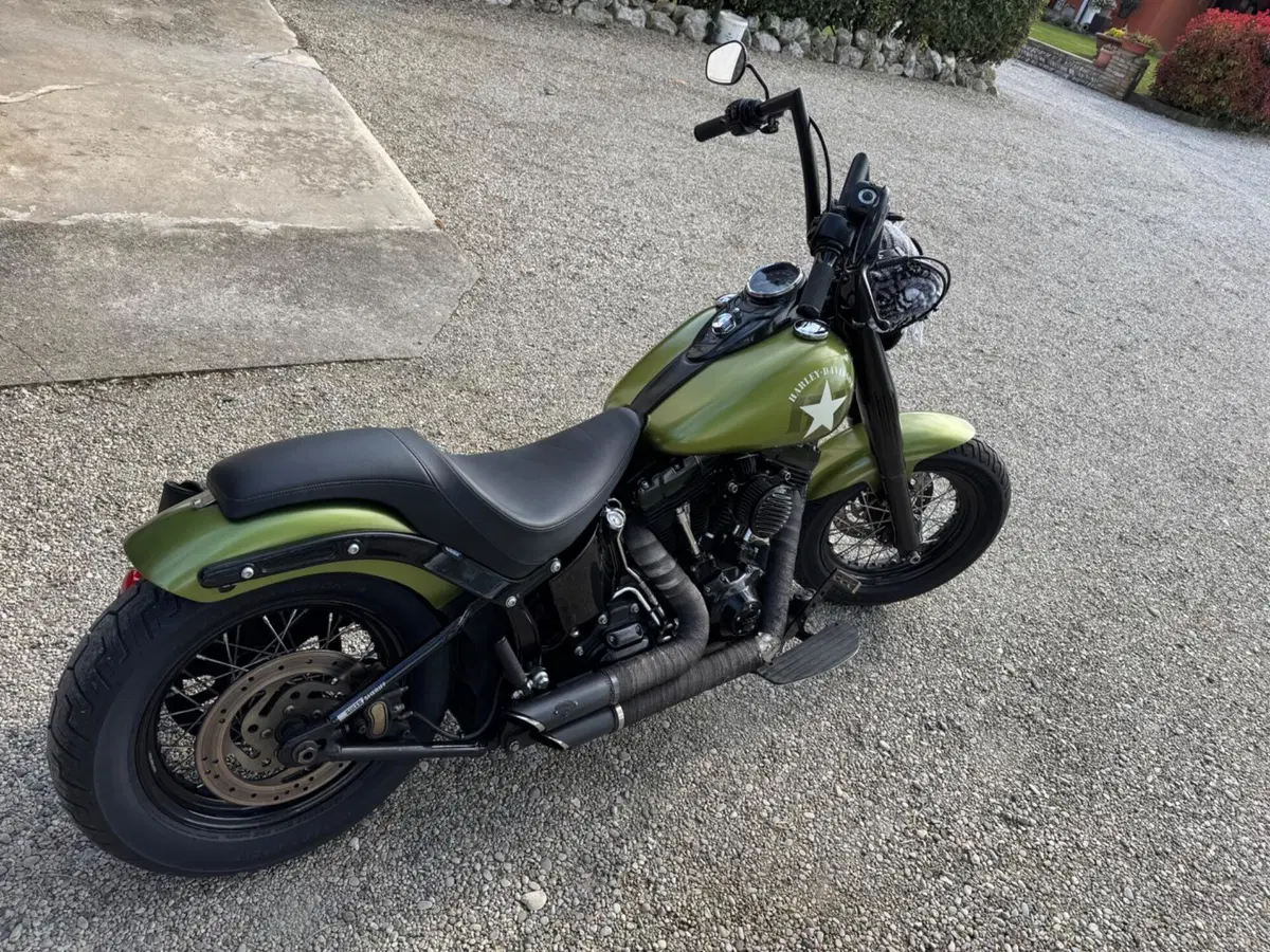 Harley-Davidson 1690 Slim (2011 - 16) - FLS (3)