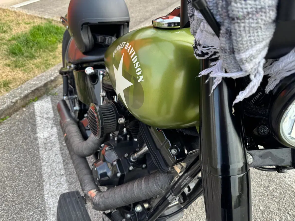 Harley-Davidson 1690 Slim (2011 - 16) - FLS (4)