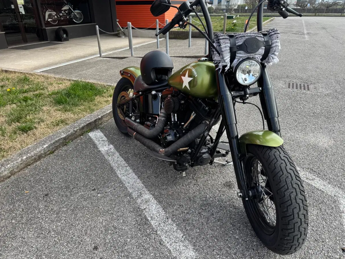 Harley-Davidson 1690 Slim (2011 - 16) - FLS (5)