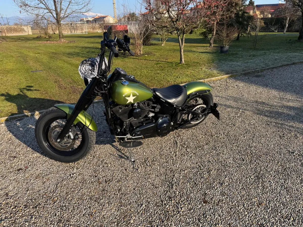 Harley-Davidson 1690 Slim (2011 - 16) - FLS (6)