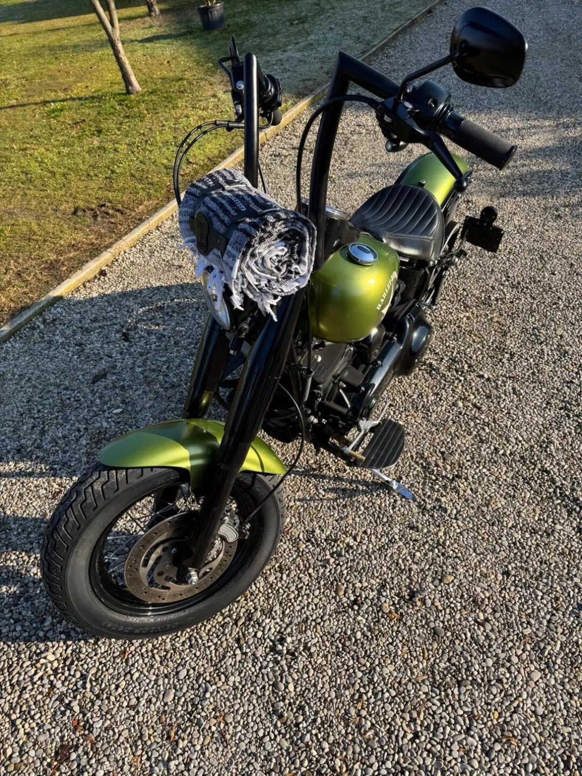 Harley-Davidson 1690 Slim (2011 - 16) - FLS (7)