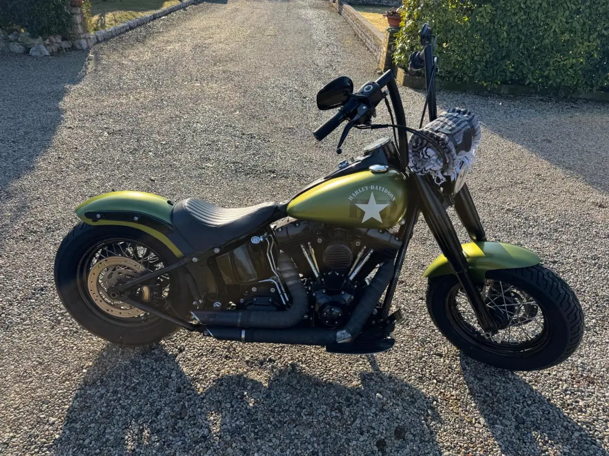 Harley-Davidson 1690 Slim (2011 - 16) - FLS (8)