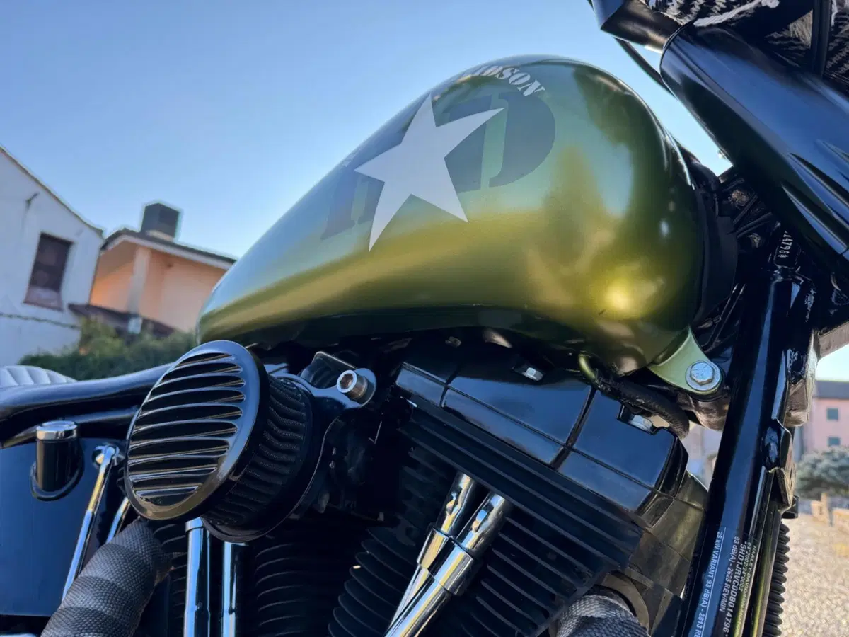 Harley-Davidson 1690 Slim (2011 - 16) - FLS (10)