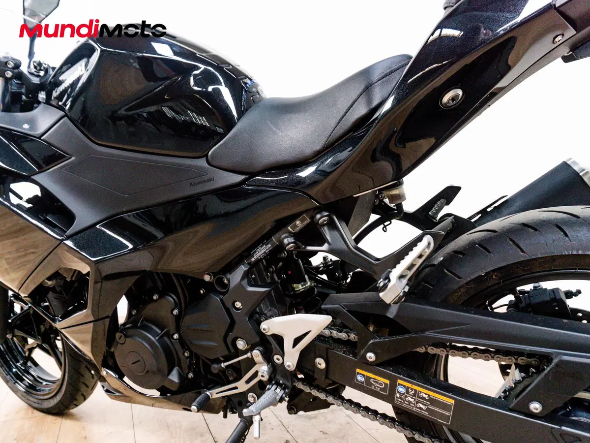 Kawasaki Ninja 500 (2024 - 26) (10)