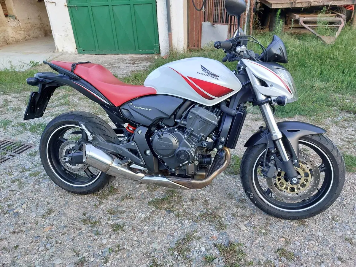 Honda Hornet 600 (2007 - 10) (3)