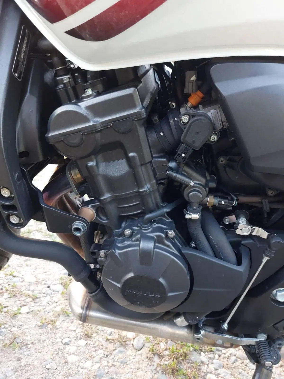 Honda Hornet 600 (2007 - 10) (10)