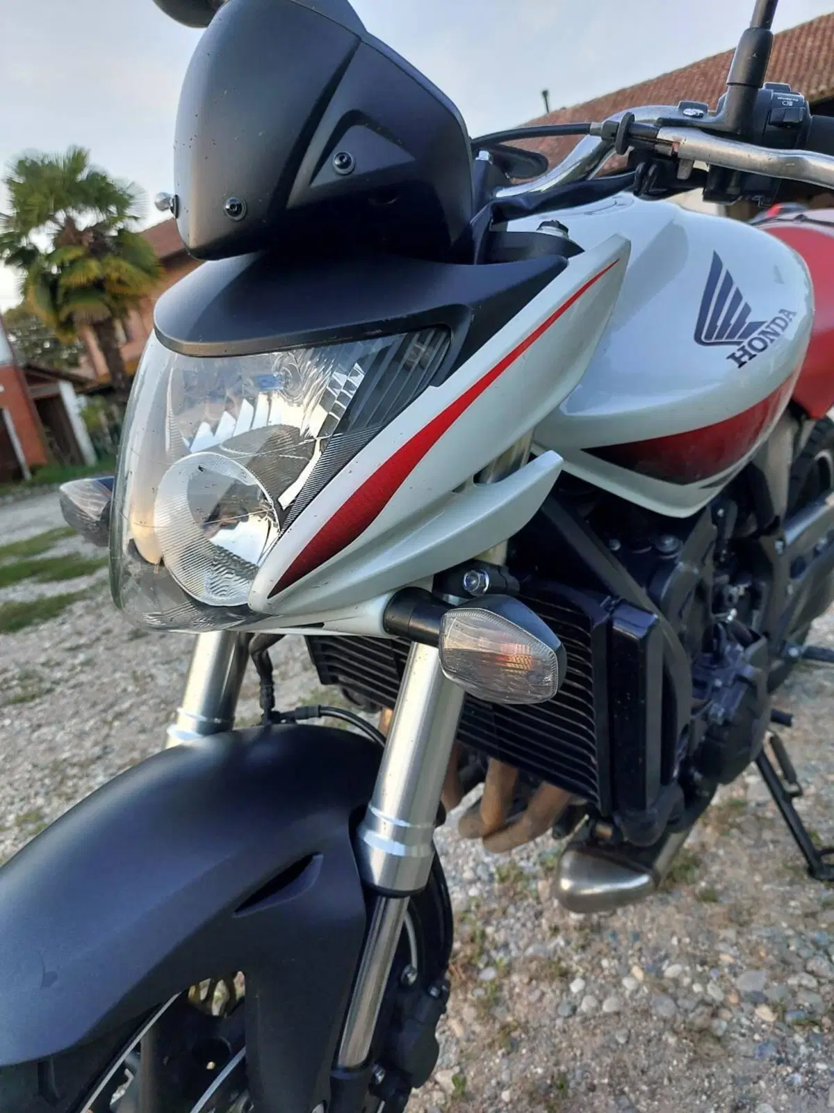 Honda Hornet 600 (2007 - 10) (11)