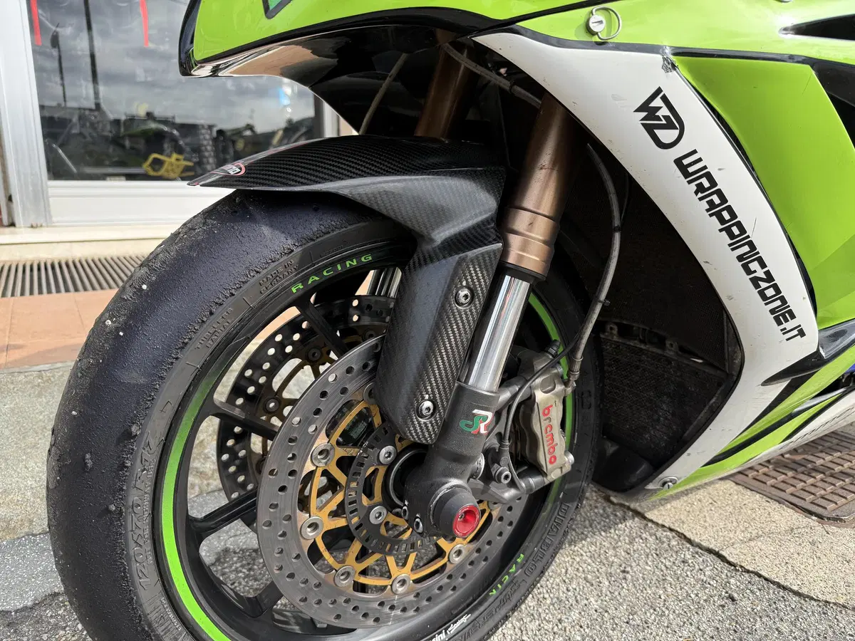 Kawasaki Ninja 1000 ZX-10R (2011 - 15) (9)