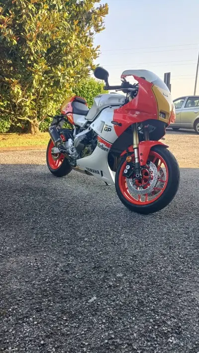 Yamaha XSR 900 GP (2024 - 26) usata