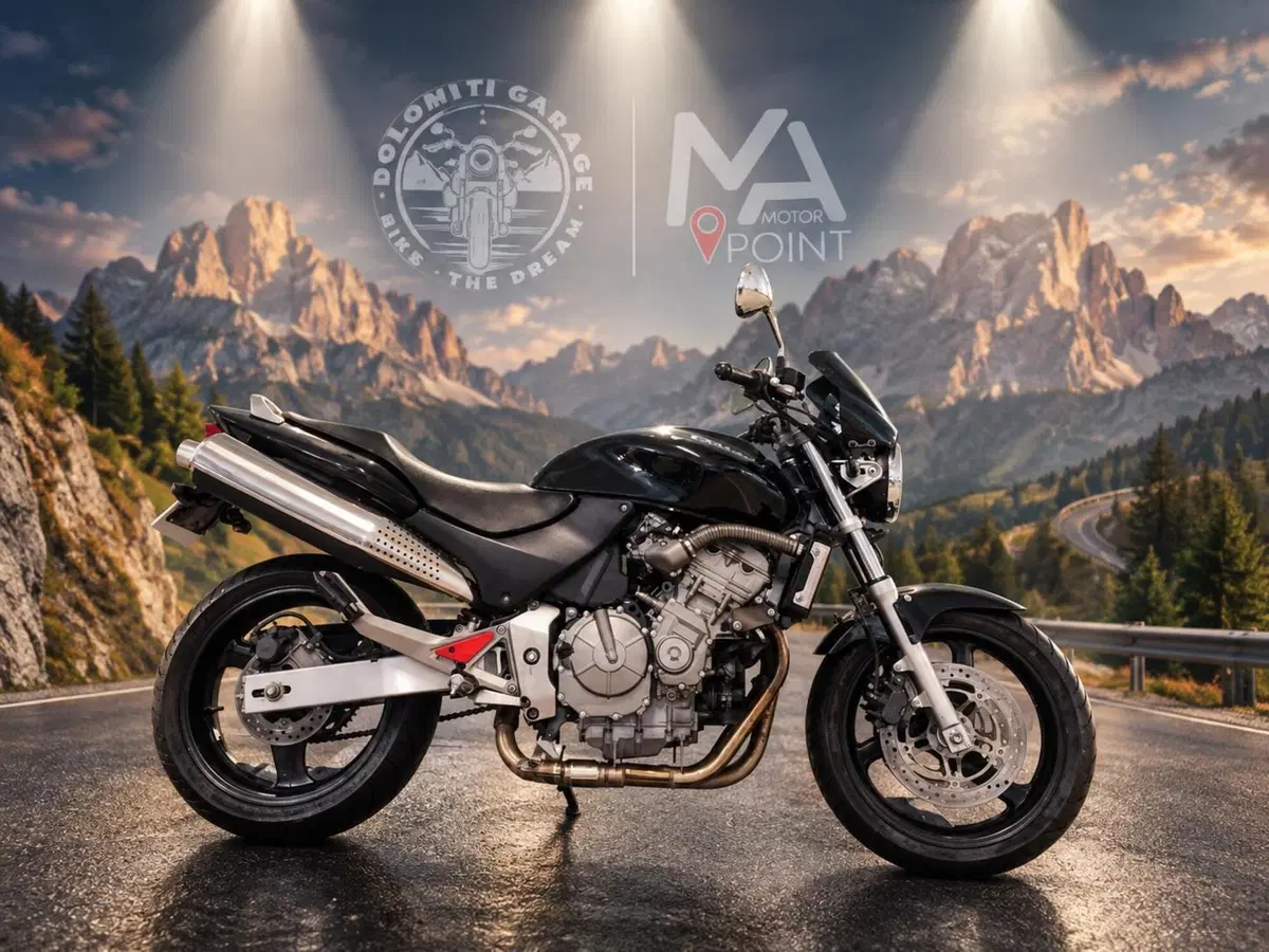 Honda Hornet 600 (1998 - 00) (4)