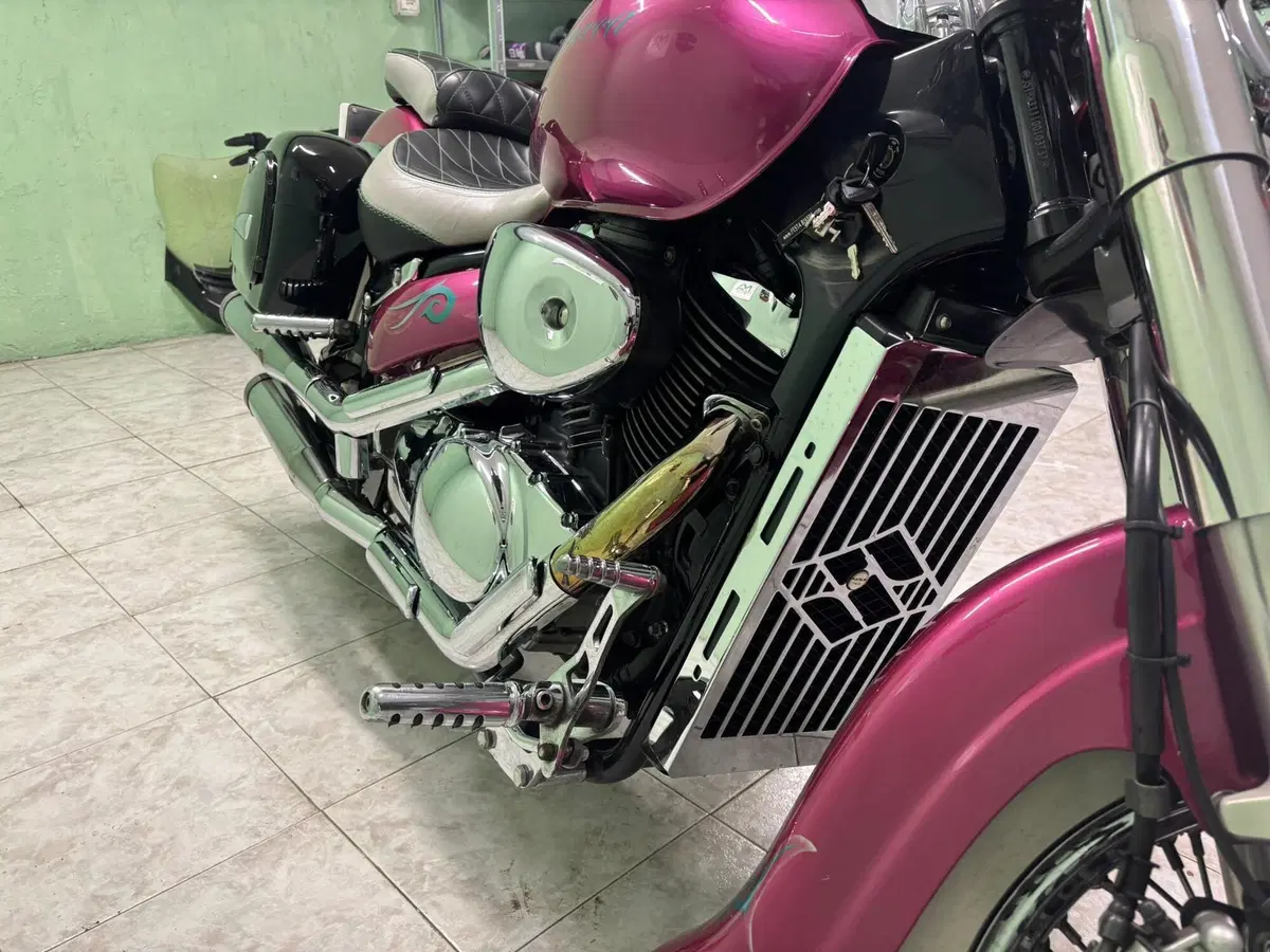 Suzuki VL 800 Intruder Volusia (2000 - 04) (8)