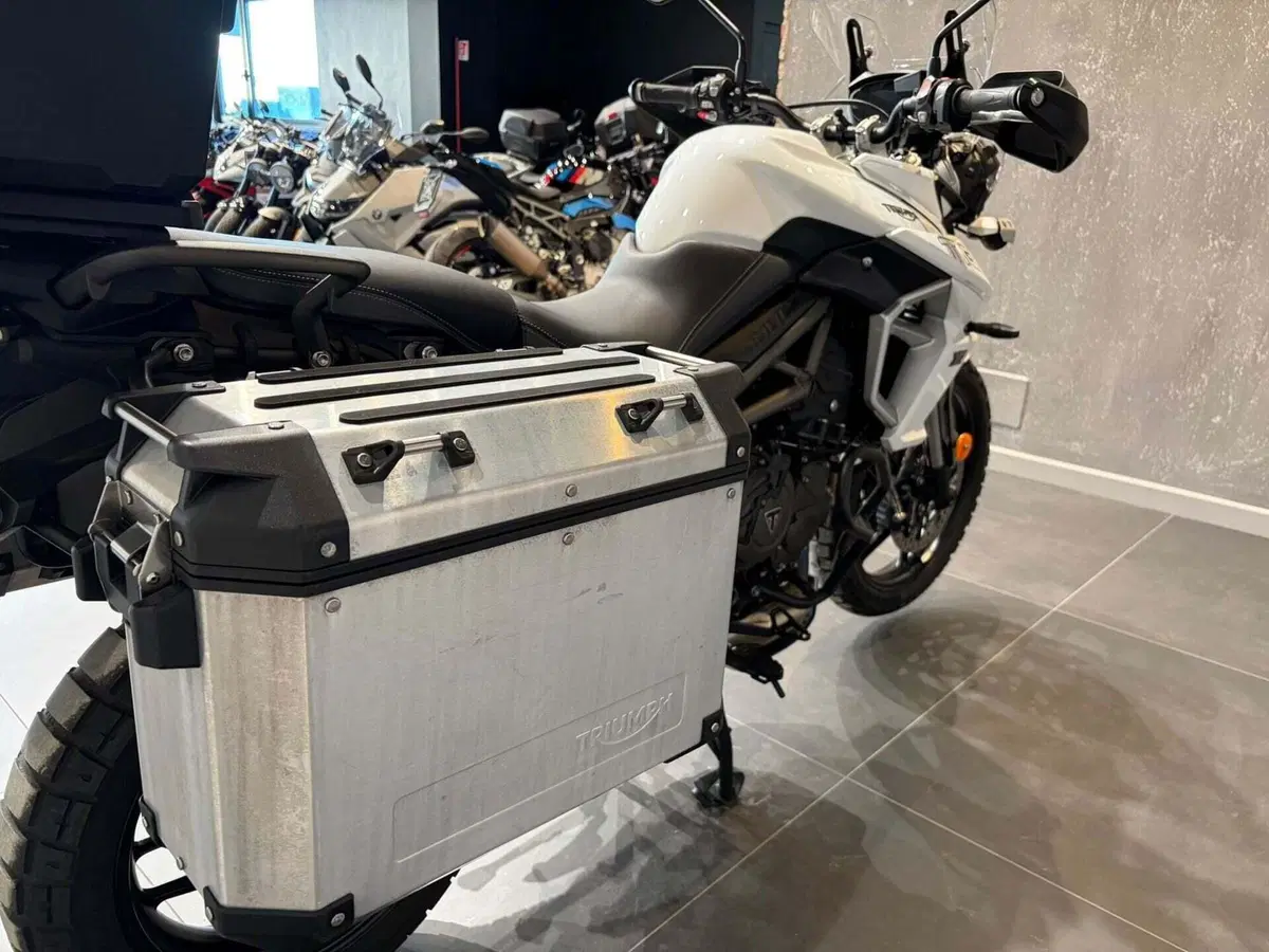 Triumph Tiger 800 XRt (2018 - 20) (6)