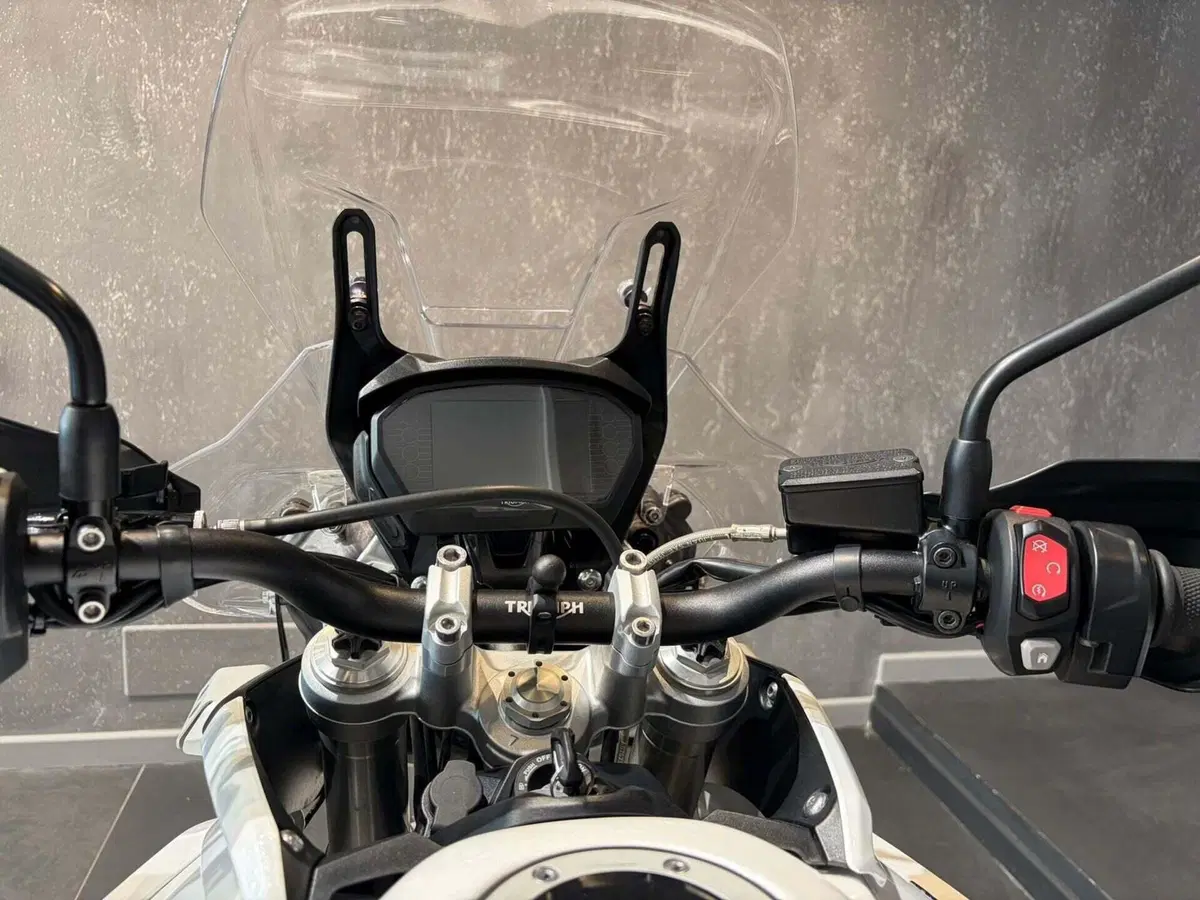 Triumph Tiger 800 XRt (2018 - 20) (9)