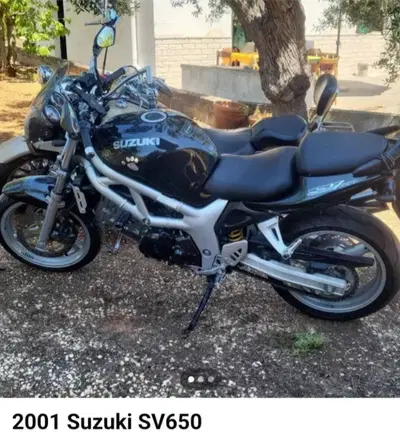 Suzuki SV 650 (1999 - 02) usata